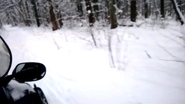 Пашкин рулит! По лыжне )) смотреть онлайн