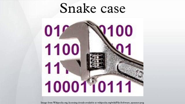Snake Case