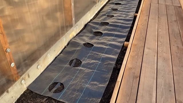 Как я готовила грядку для высадки рассады огурчиков. Дети гуляют на лыжах и на горке. смотреть онлайн