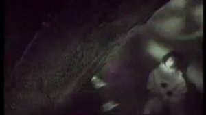 Я крашу губы гуталином