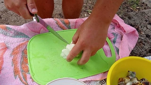 Как почистить и приготовить МЯСО РАПАНА !!! How to clean and cook RAPAN MEAT !!! смотреть онлайн