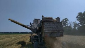уборка Нива СК 5 , Загубили зерно