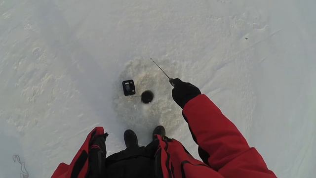 Снасть на пассивного окуня смотреть онлайн