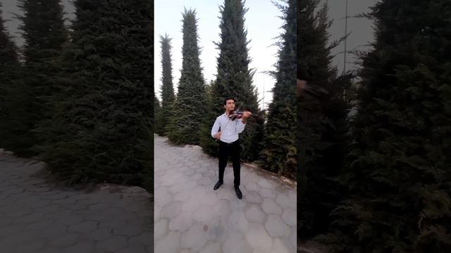 Despasito Skripka (cover)🎻