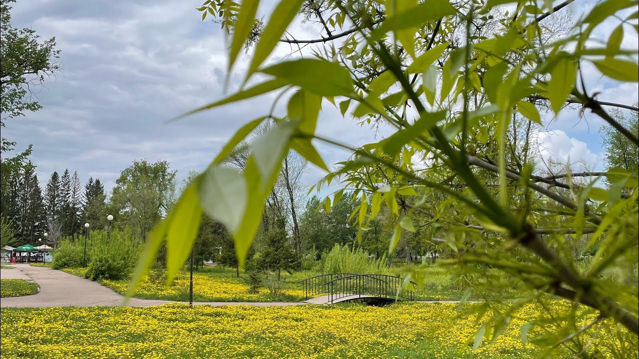 Снова в Ишеево// Парк Жукова//В парке с родными// Папа в декрете смотреть онлайн