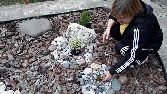 Растения и их значимость