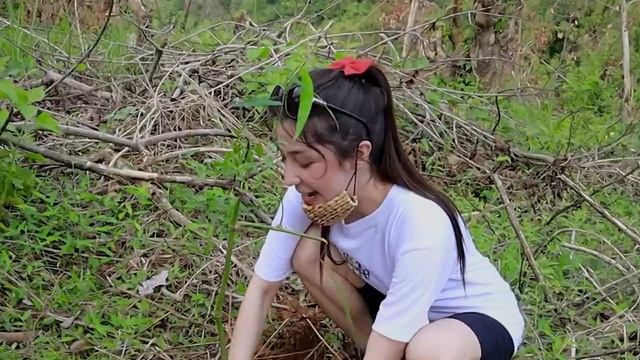 PLANTING BAMBOO TREES TO PREVENT FLOOD DISASTERS