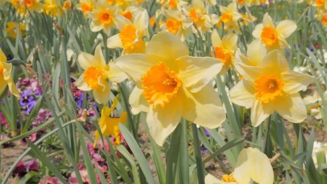 ¡Grandes melodías para el alma! Canción romántica de Sergey Chekalin! La música toca el corazón#3 смотреть онлайн