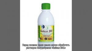 Томат Персей