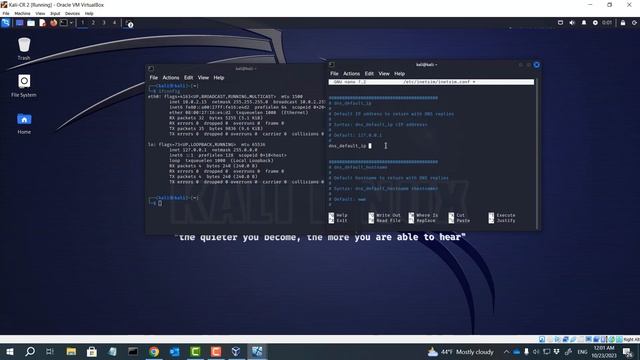 FrausDNS + INetSim for malware analysis смотреть онлайн