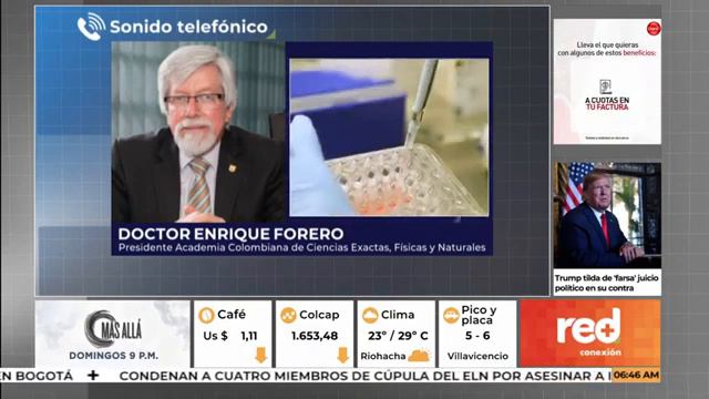 Entrevista en Red Mas Noticias al Dr Enrique Forero, Presidente, Academia Colombiana de Ciencias смотреть онлайн