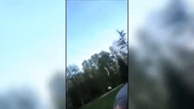 Что такое любовь? Одуванчик в рот смотреть онлайн