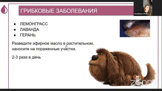 Зверье и эфирные масла Эфирный класс 23 декабря 19:00 смотреть онлайн