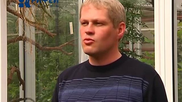 Царица ночи смотреть онлайн