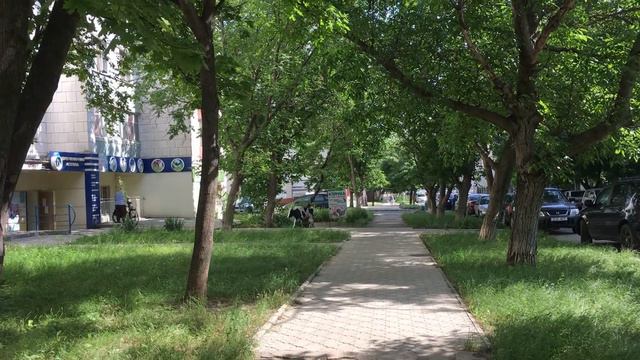 Ветеринарная аптека ООО Файер - улица Луначарского 34 - Тирасполь