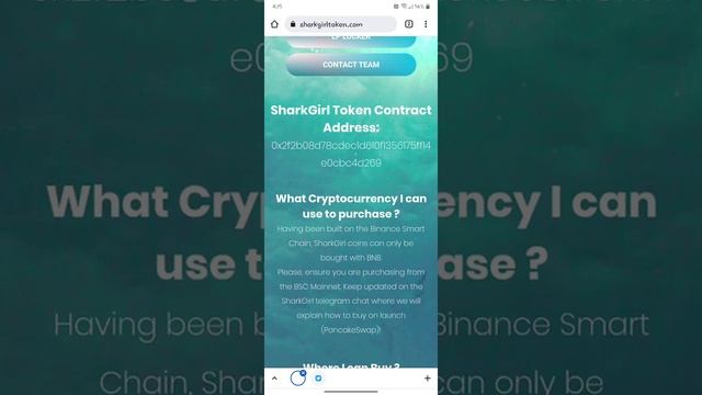 SHARK GIRL Token BEP20 Intro Super Early On Ever Rise Everown Platform 1+1 Audits + Staking Nfts смотреть онлайн