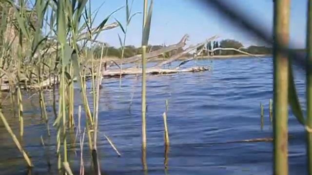 Река Сосыка. Станица Атаманская смотреть онлайн