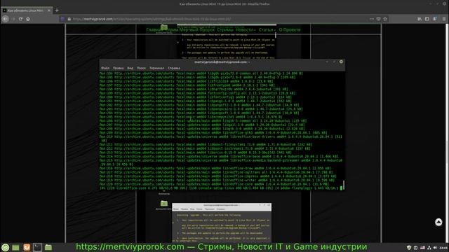 Как обновить Linux Mint 19 до Linux Mint 20 смотреть онлайн