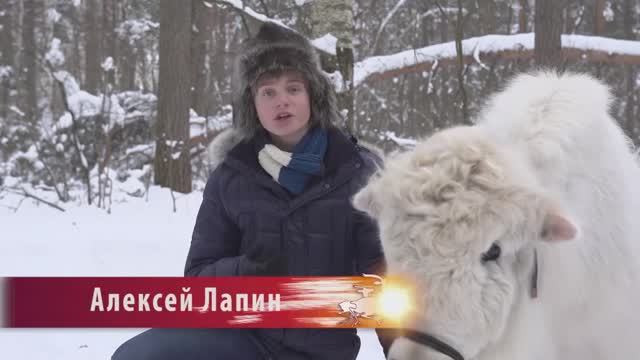 В МИРЕ ЖИВОТНЫХ смотреть онлайн