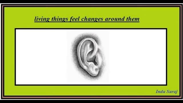Class -V- Revision Sub- EVS -Living and non living things смотреть онлайн