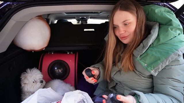 24 ЧАСА В БАГАЖНИКЕ НОВОЙ МАШИНЫ С КОТОМ И СОБАКОЙ ВТАЙНЕ ОТ МИШИ смотреть онлайн