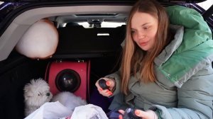 24 ЧАСА В БАГАЖНИКЕ НОВОЙ МАШИНЫ С КОТОМ И СОБАКОЙ ВТАЙНЕ ОТ МИШИ