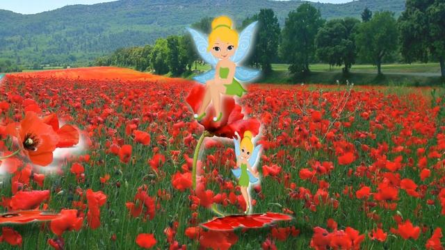 Маки и феи. смотреть онлайн