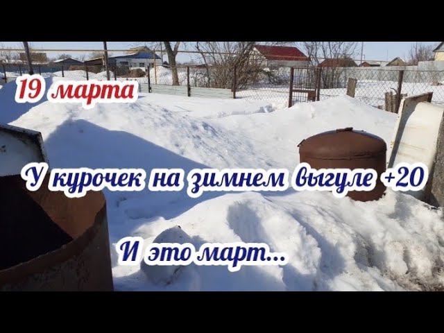 куриный рай на выгуле.... смотреть онлайн