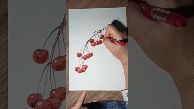Веточка вишни, как нарисовать маркером и карандашом. смотреть онлайн