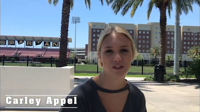 Homelessness in Tampa Bay смотреть онлайн