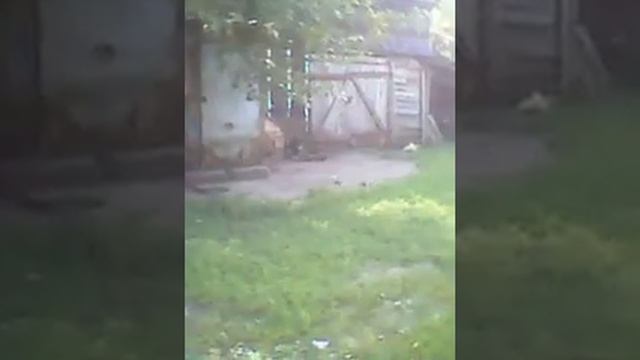 секция 15 острогожск смотреть онлайн