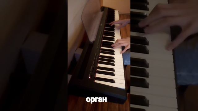 Coffin dance на разных инструментах смотреть онлайн