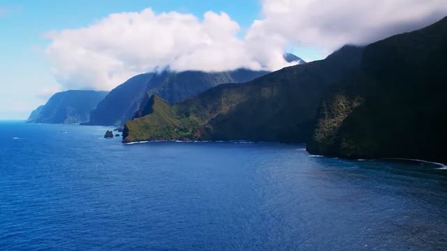 Живой мир смотреть онлайн