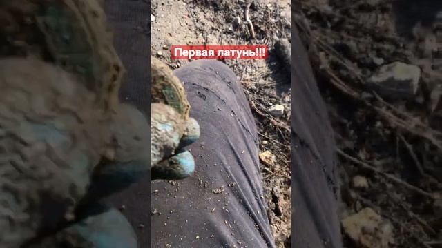 Первый цветняк #бронза #латунь #медь #медяха #цветнойметалл #металлокоп смотреть онлайн