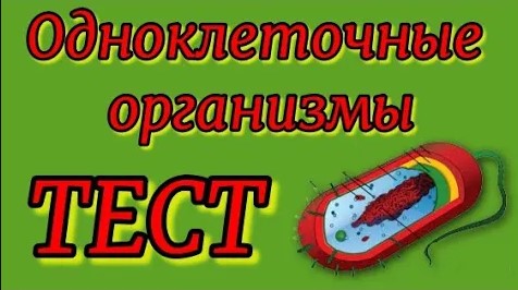 Тест на тему Одноклеточные организмы Биология 7 класс. смотреть онлайн