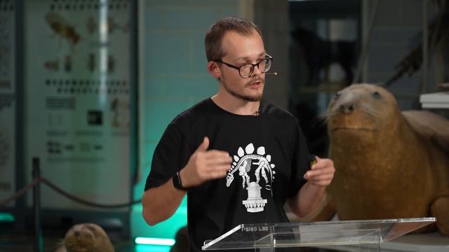 Иван Кузьмин «Исследуя пустоту в голове. Как палеонтологи изучают эволюцию мозга динозавров» смотреть онлайн