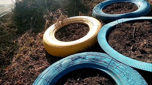 Ну вот и первое яйцо от моих курочек. смотреть онлайн