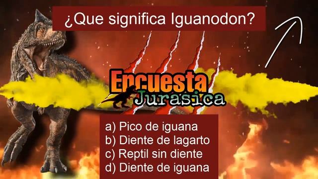 CONOCE AL SCAPHOGNATHUS | Pterosaurio | Carno bb | смотреть онлайн