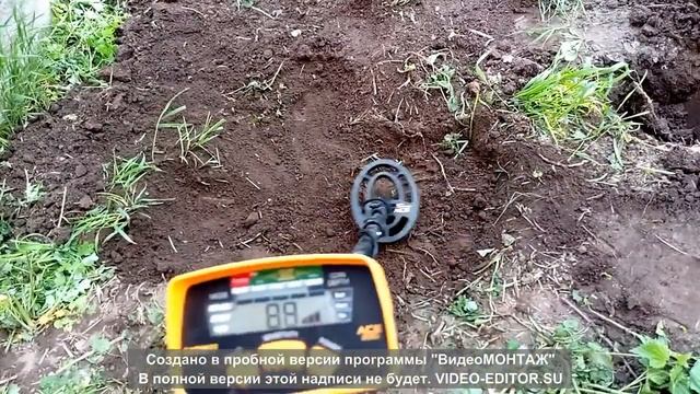 Металлоискатель GARRETT ACE 200 i смотреть онлайн