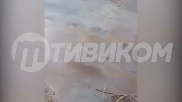 В Улан-Удэ в Селенгу сливают нефтепродукты смотреть онлайн