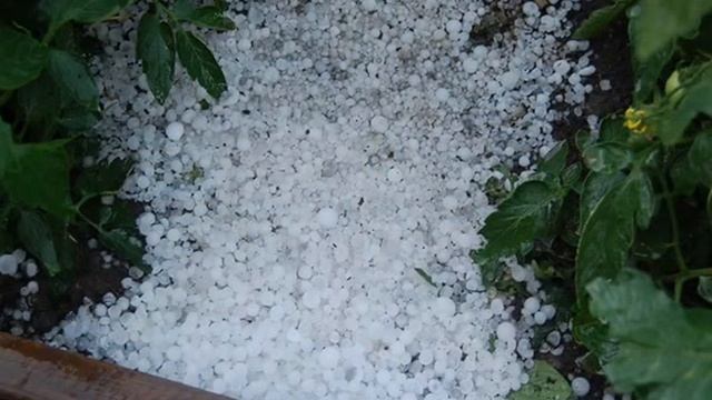 Сказка "12 месяцев" в действии смотреть онлайн