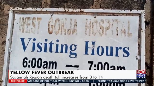 Yellow Fever Outbreak: Savannah Region death toll increases from 8 to 14 - The Pulse (18-11-21) смотреть онлайн