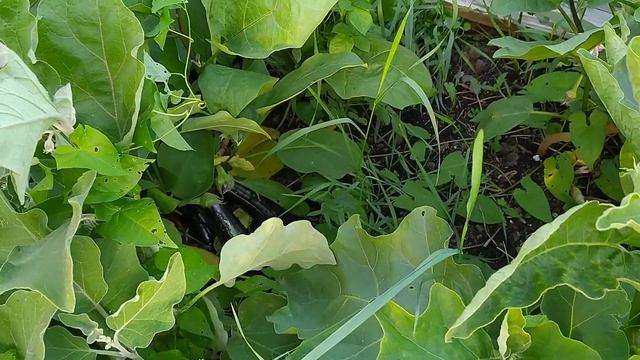 Строительные Сюрпризы