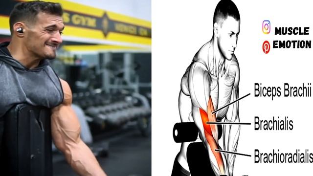 15 BEST BICEPS EXERCISES AT HOME WITH DUMBELLS ONLY / SUPER EXERCISES MUSCULATION BICEPS HALTERES