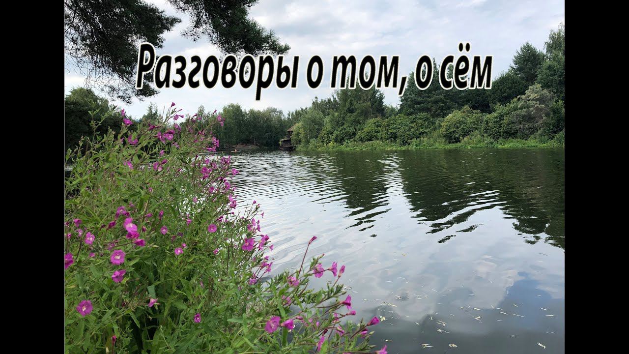 Ответы на вопросы, комментарии. Работа с заказчиками. Разговоры о том, о сём. 15.07.2024. смотреть онлайн