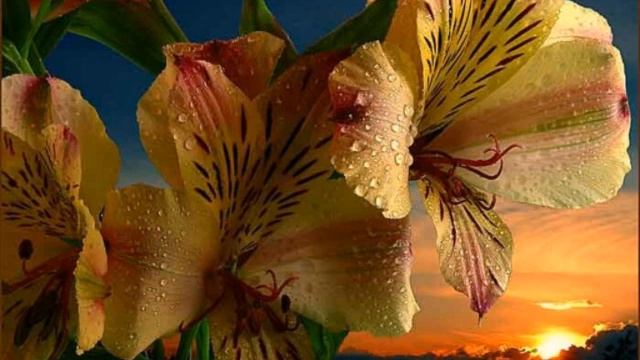 Не могу я тебе в День рождения дорогие подарки дарить смотреть онлайн