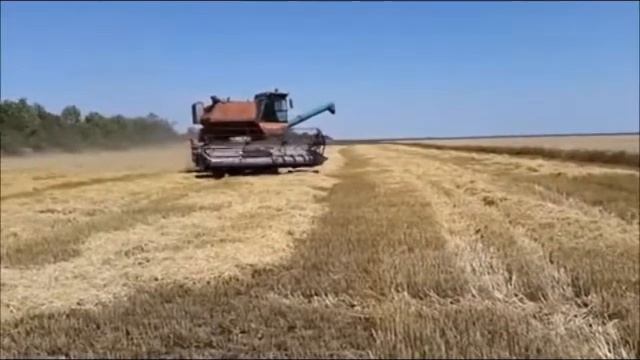 Хлеб драгоценность! От зёрнышка до каравая. смотреть онлайн