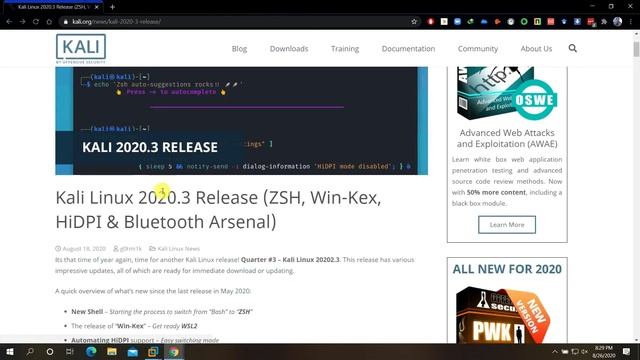 First Look: Kali 2020.3 Installation & Test Drive (No Sound) смотреть онлайн