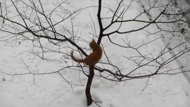 На чужой вершок не разевай роток)) смотреть онлайн