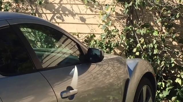 Птица бьется со своим отражением в зеркале смотреть онлайн